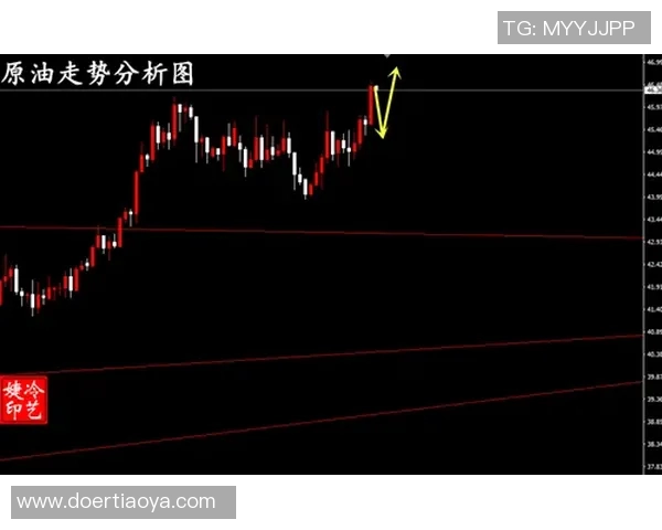 独家解析BLG战术风格与对手的深度对比与分析实时数据